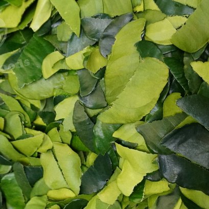 Kaffir Lime Leaves