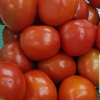 มะเขือเทศท้อ