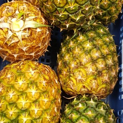 สัปปะรด