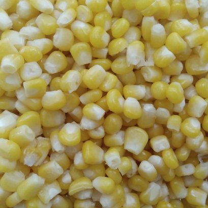 ข้าวโพด 