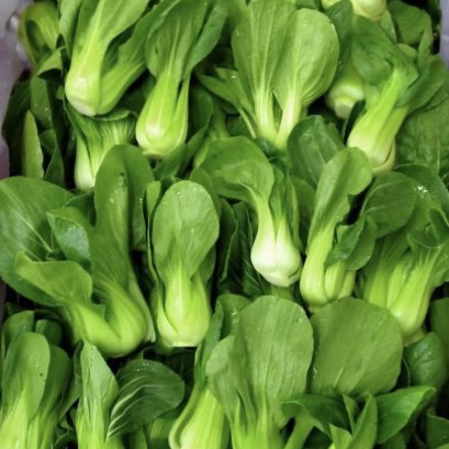 กวางตุ้งฮ่องเต้ 