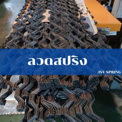 การวิวัฒนาการของสปริง