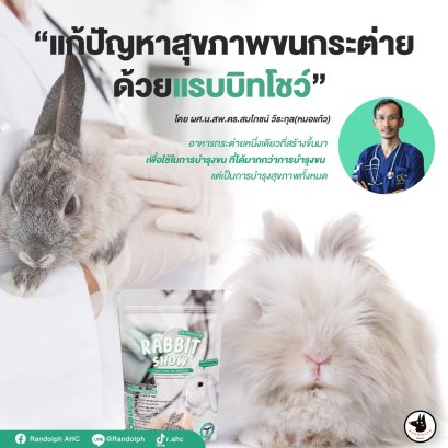 แก้ปัญหาสุขภาพขนกระต่ายด้วยแรบบิทโชว์