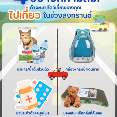 4 อย่างที่ห้ามลืม ถ้าจะพาสัตว์เลี้ยงของคุณไปเที่ยวในช่วงสงกรานต์