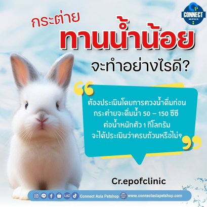 กระต่ายทานน้ำน้อยจะทำอย่างไรดี?