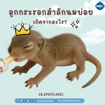 ลูกกระรอกสำลักนมบ่อย เกิดจากอะไร?