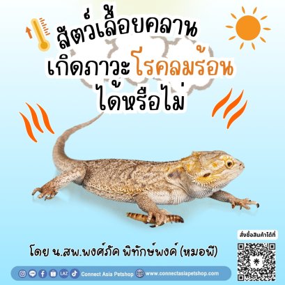 สัตว์เลื้อยคลาน เกิดภาวะโลกลมร้อน ได้หรือไม่?