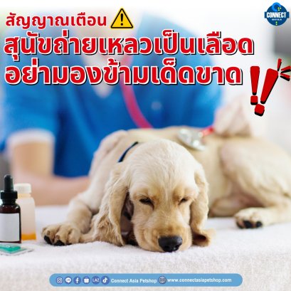 สัญญาณเตือน สุนัขถ่ายเหลวเป็นเลือด อย่ามองข้ามเด็ดขาด!!!