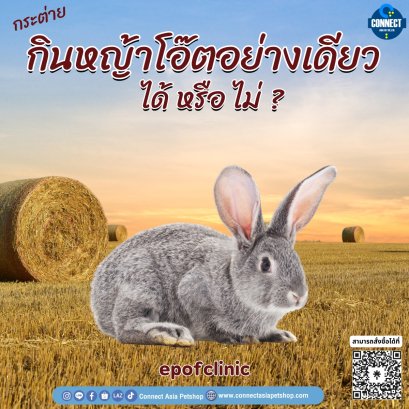 กระต่ายทานแค่หญ้าโอ๊ตอย่างเดียว ได้หรือไม่?