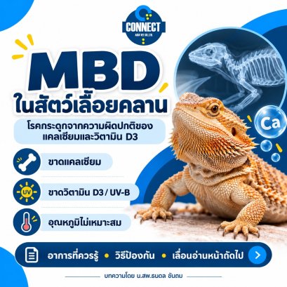 Metabolic Bone Disease (MBD)