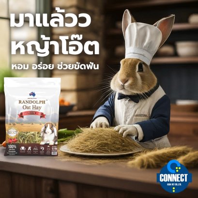 เทคนิคทำให้หญ้าโอ๊ตหอมน่ากิน