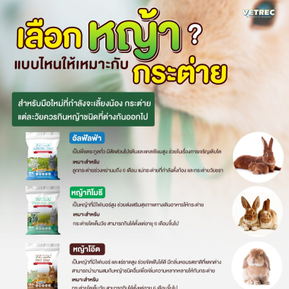 เลือกหญ้าแบบไหนให้กระต่าย สำหรับมือใหม่ที่กำลังจะเลี้ยงน้อง 