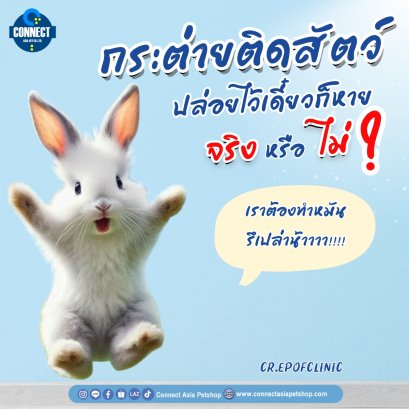 กระต่ายติดสัตว์ ปล่อยไว้เดี๋ยวก็หาย จริงหรือไม่?