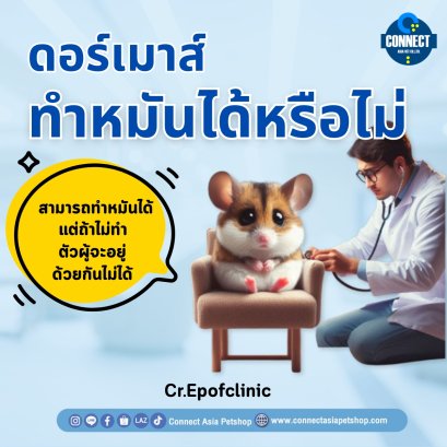 ดอเมาส์ทำหมันได้หรือไม่