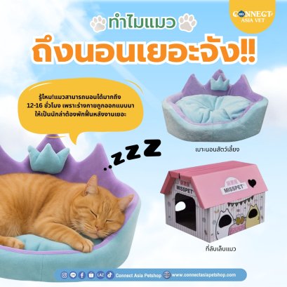 ทำไมแมวถึงนอนเยอะ!!!