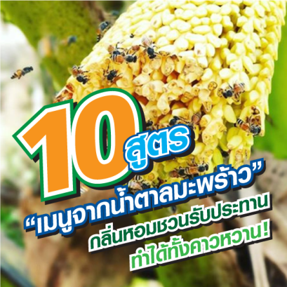 10 สูตร “เมนูจากน้ำตาลมะพร้าว” กลิ่นหอมชวนรับประทาน ทำได้ทั้งคาวหวาน!