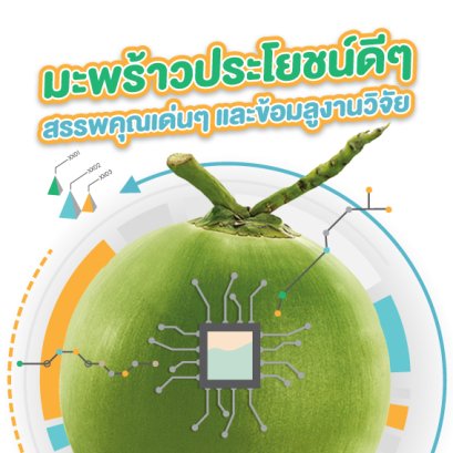 มะพร้าวประโยชน์ดีๆ สรรพคุณเด่นๆ และข้อมลูงานวิจัย