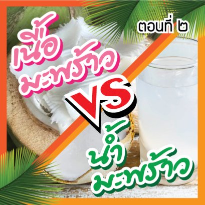 ระหว่าง "เนื้อมะพร้าว" กับ "น้ำมะพร้าว" ตกลงกินอะไรดี? (ตอนที่ 2) : ฮอร์โมนเพศหญิงที่ได้จากน้ำมะพร้าว
