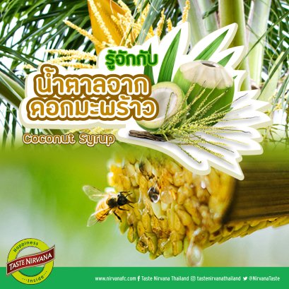 น้ำตาลจากดอกมะพร้าว Coconut Syrup