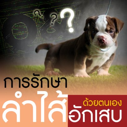 การรักษา "โรคลำไส้อักเสบ" ด้วยตนเอง...จากประสบการณ์จริง?