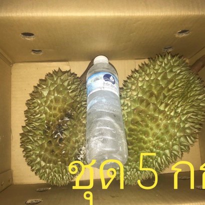 ทุเรียนภูเขาไฟขนาด 5 กก.