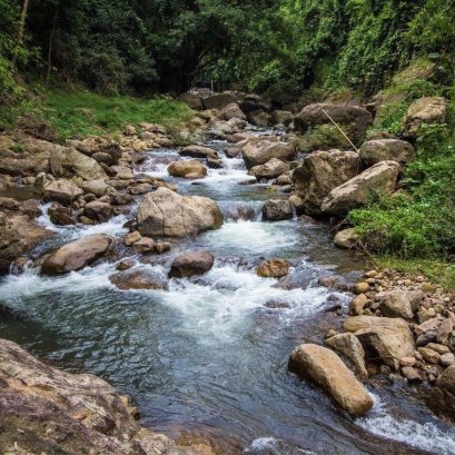 ล่องเรือหารัก เขื่อนขุนด่านปราการชล