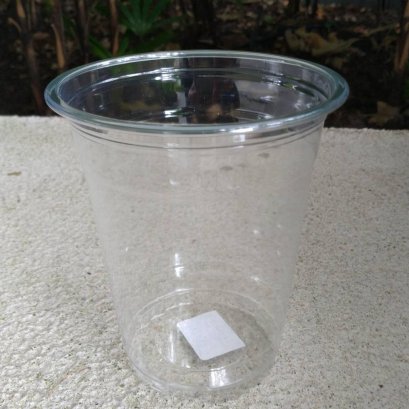 แก้ว 12oz. PET 1