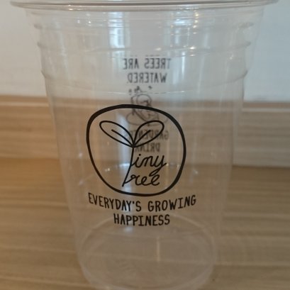 แก้วพิมพ์ลาย16oz. TinyTree 3
