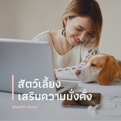 สร้างพลังงานหมุนเวียนที่ดีในบ้าน  ด้วยสัตว์เลี้ยงของคุณ