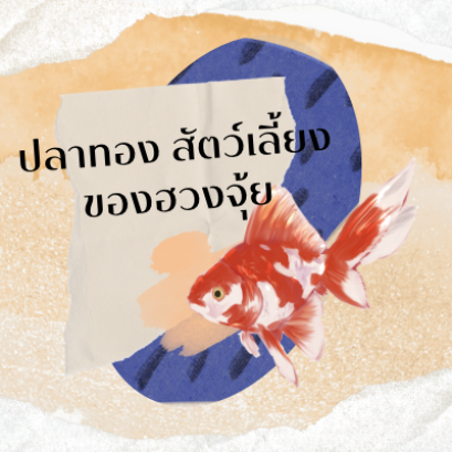 ปลาทอง ปลาคาร์พสัตว์เลี้ยงฮวงจุ้ย