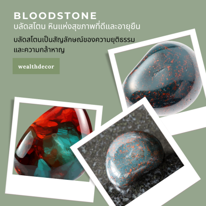 บลัดสโตน หินแห่งสุขภาพที่ดีและอายุยืน ส่งเสริมความเคารพนับถือ โชคลาภ ความร่ำรวย และชื่อเสียง