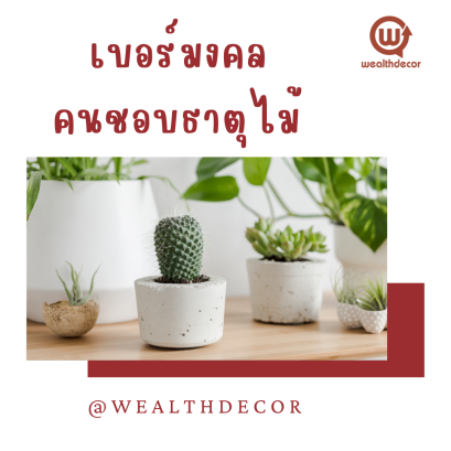เบอร์มงคล ตรงตามดวง คนชอบธาตุไม้หรือมีอาชีพเกี่ยวกับธาตุไม้