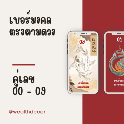คู่พลังเลขมงคล 00-09 เบอร์มงคล ตรงตามดวง