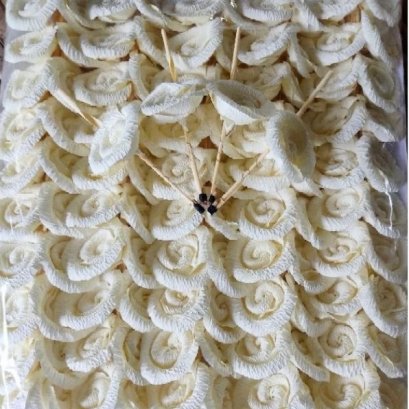 ดอกไม้จันทร์