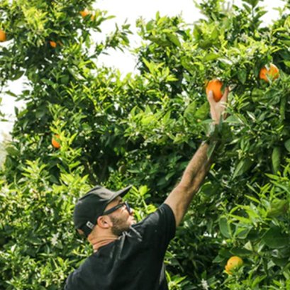 Seeking sustainable and healthy food supply