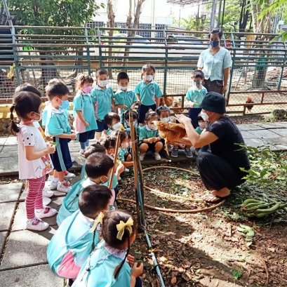ทัศนศึกษาระดับอนุบาล 1 ปีการศึกษา 2565 ที่ฮิฟอินทรีฟาร์มวิลล์พอเพียง ชมสวน ดูไก่ เพาะต้นอ่อนทานตะวัน