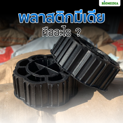 พลาสติกมีเดียคืออะไร