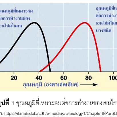 ปัจจัยที่มีผลต่อการทำงานของเอนไซม์ 