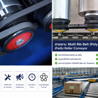 ทำความรู้จัก EPJ สำหรับงาน Roller Conveyor