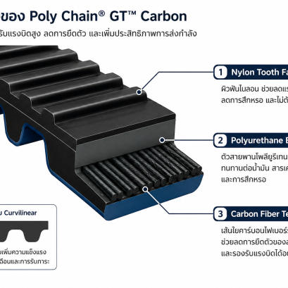 Poly Chain® GT  คืออะไร | ข้อดี การใช้งาน และเปรียบเทียบกับโซ่ Roller Chain