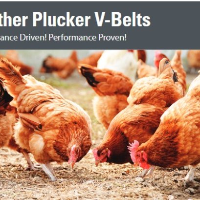 NEW PRODUCT: Feather Plucker V-Belts