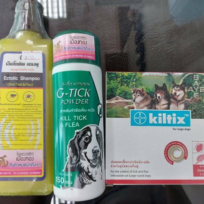 เห็บหมัดจอมวายร้าย กำจัดอย่างไรให้ปลอดภัย???