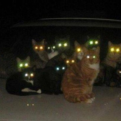 ต้องเปิดไฟตอนกลางคืนไหม ?