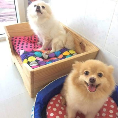 เมื่อแม่ไม่เลี้ยงลูก จะทำยังไงกันดี ???