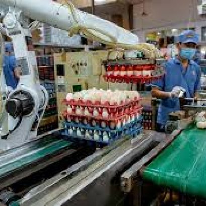 DÒNG BÁNH XE TẢI TRUNG CỦA HAPPY MOVE