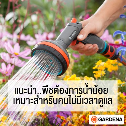 แนะนำ พืชต้องการน้ำน้อย เหมาะสำหรับคนไม่มีเวลาดูแล