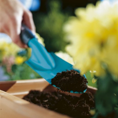 วิธีดูแลสวนของคุณให้มีชีวิต