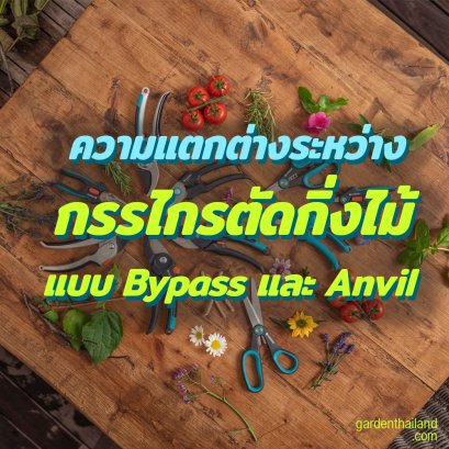 ความแตกต่างระหว่างกรรไกรแบบ Bypass และ Anvil