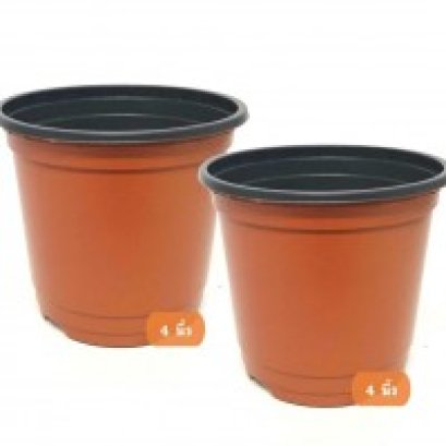 กระถางพลาสติก 4 นิ้ว และ 6 นิ้ว (Plastic pots)