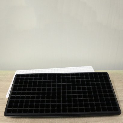 ถาดเพาะต้นกล้า แบบ 200 หลุม (Tray plug 200)